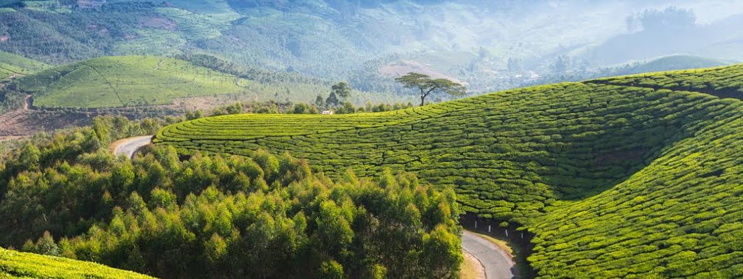  Munnar Town in India