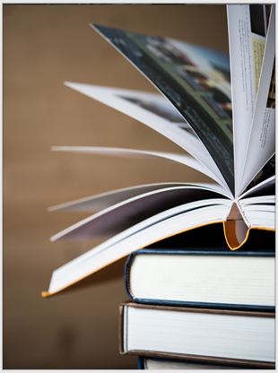 Popular courses for studying in Spain